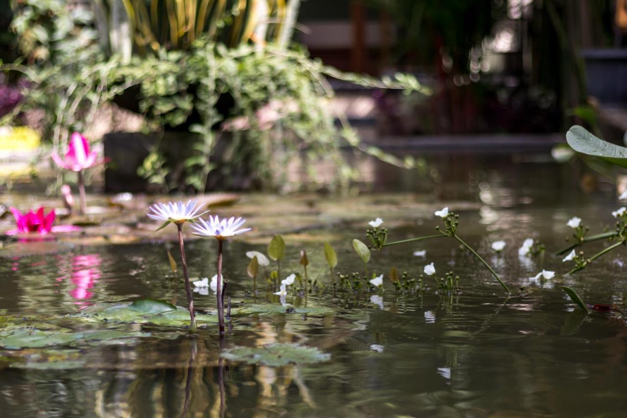 Hidden Padma Retreat Hotel Ubud  Bagian luar foto